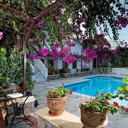 Hotel de apartamente Diktynna Hersonissos (Crete)